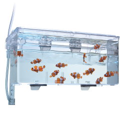 Fluval Multi-Chamber Holding & Breeding Box 26 cm